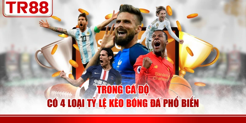 Trong cá độ có 4 loại tỷ lệ kèo bóng đá phổ biến